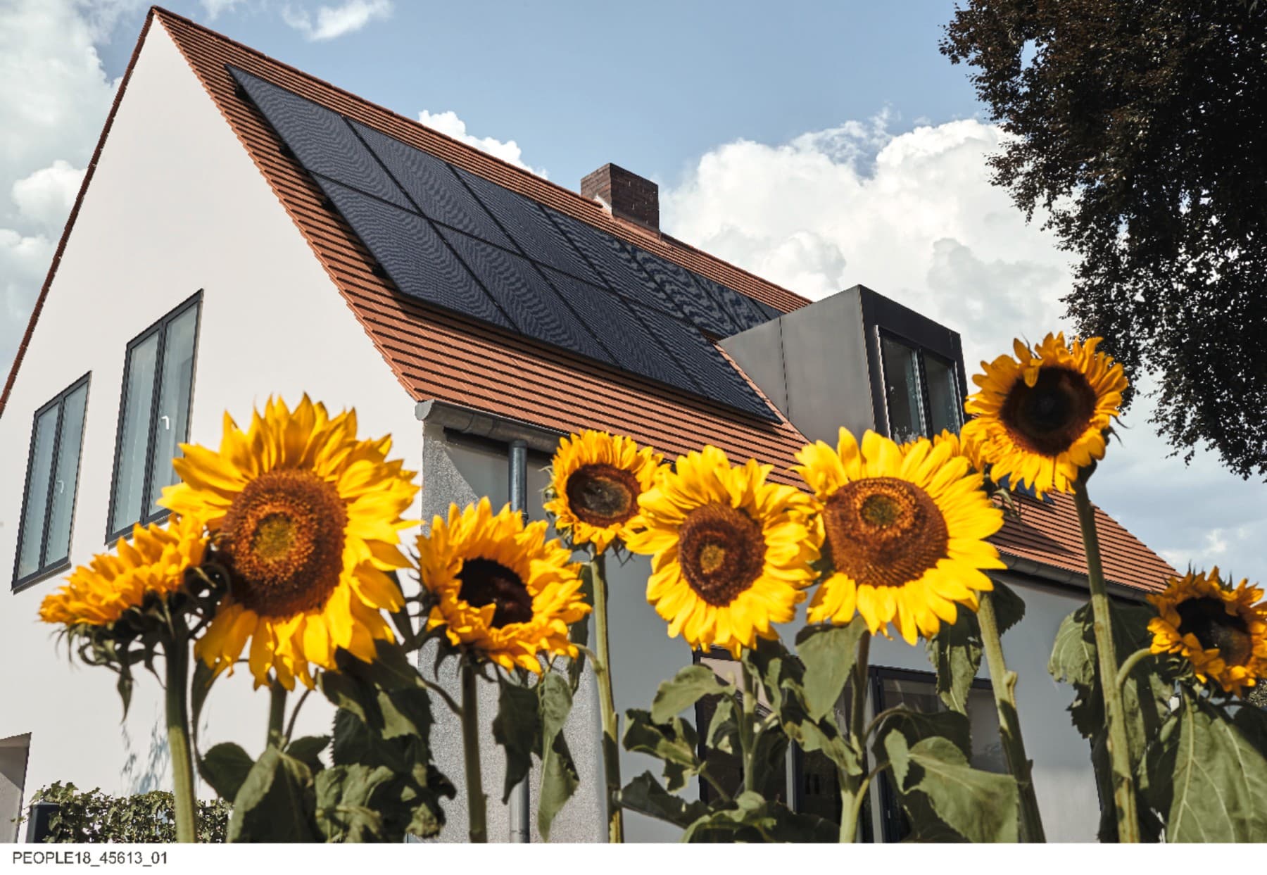 Kuća stoji iza velikih suncokreta. Na krovu su postavljeni solarni paneli koji koriste solarnu energiju za električnu energiju.